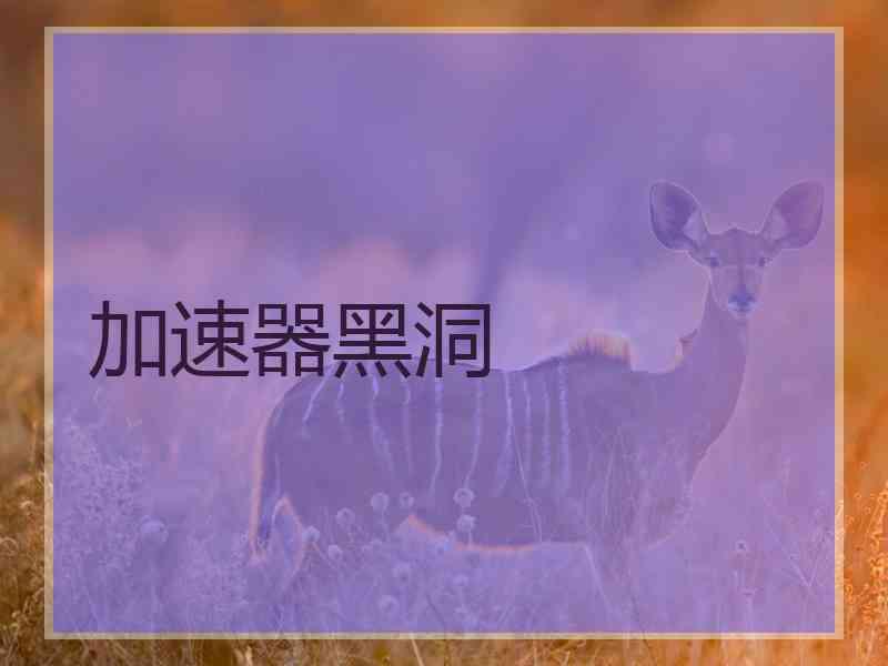 加速器黑洞