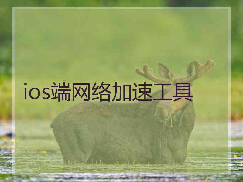 ios端网络加速工具