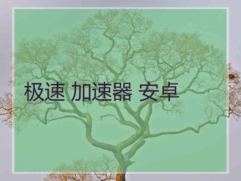 极速 加速器 安卓