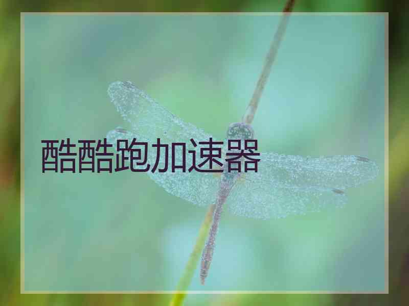 酷酷跑加速器