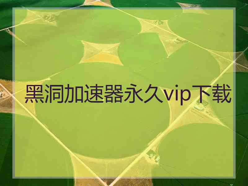 黑洞加速器永久vip下载