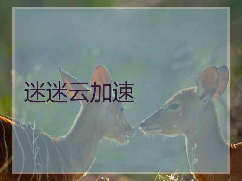 迷迷云加速