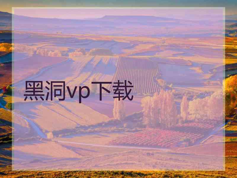 黑洞vp下载