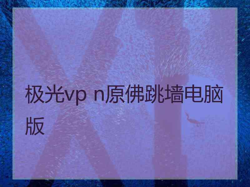 极光vp n原佛跳墙电脑版
