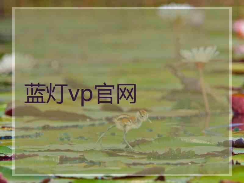 蓝灯vp官网