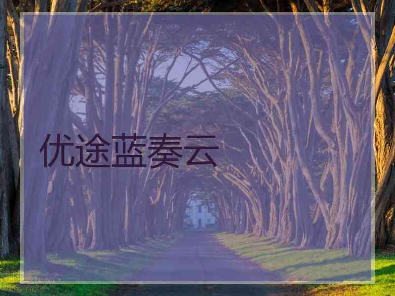 优途蓝奏云