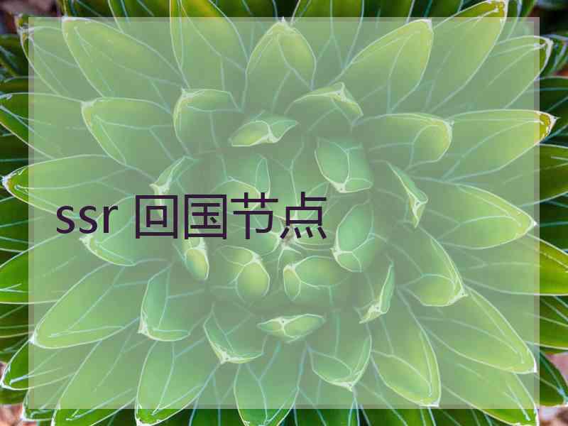 ssr 回国节点