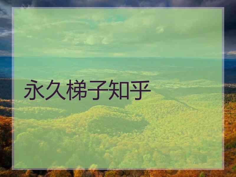 永久梯子知乎