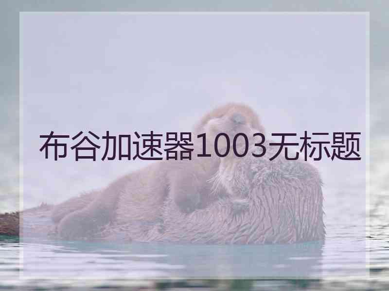 布谷加速器1003无标题