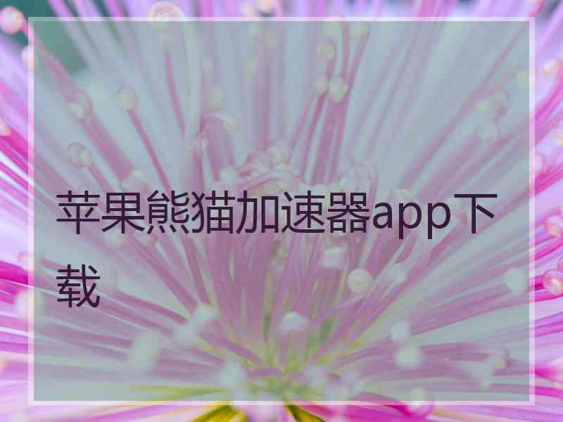 苹果熊猫加速器app下载