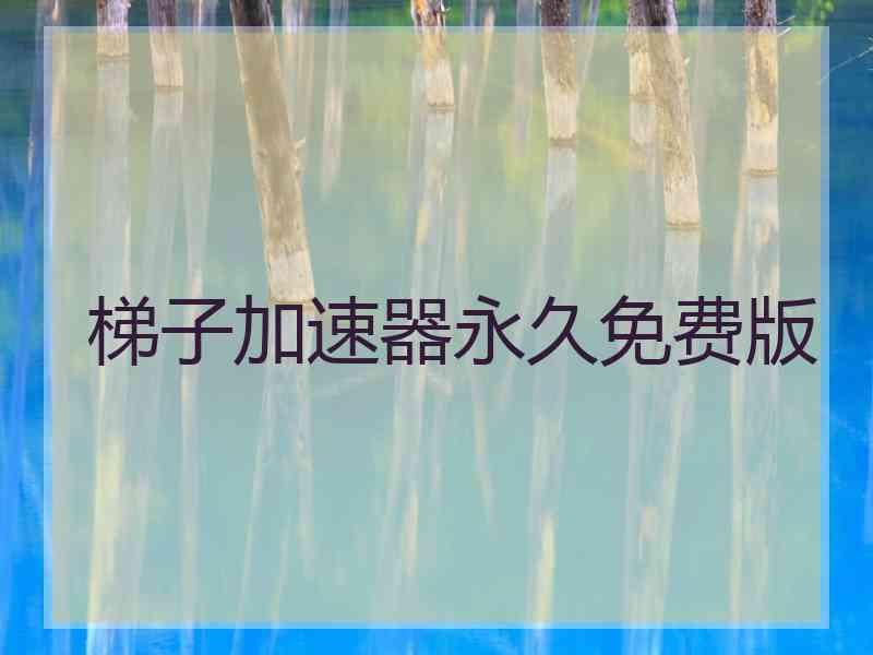 梯子加速器永久免费版