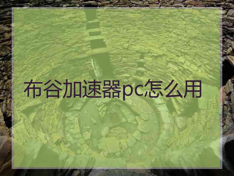 布谷加速器pc怎么用
