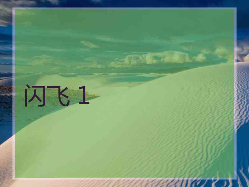 闪飞 1