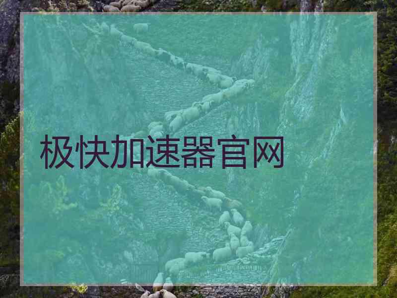 极快加速器官网