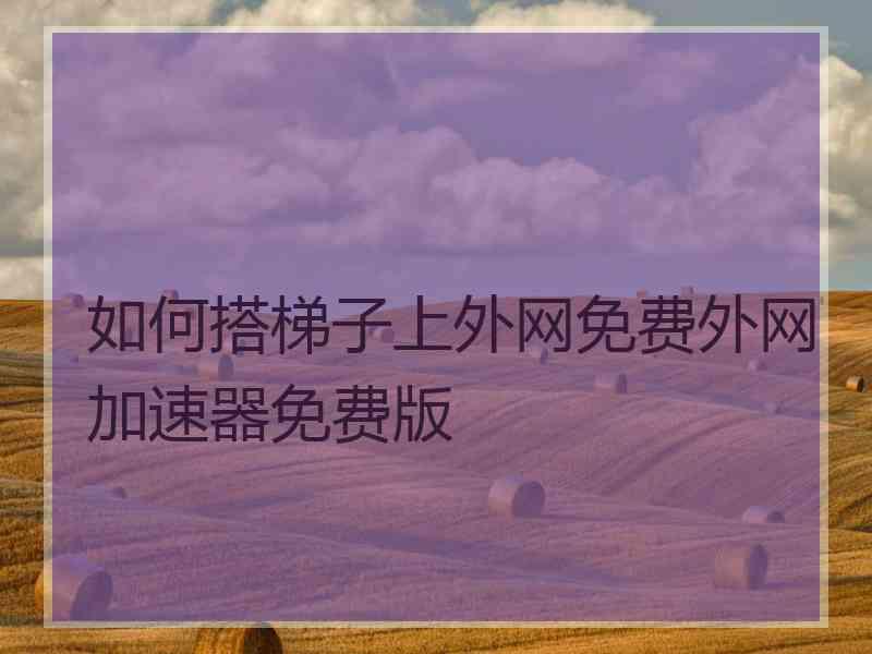 如何搭梯子上外网免费外网加速器免费版