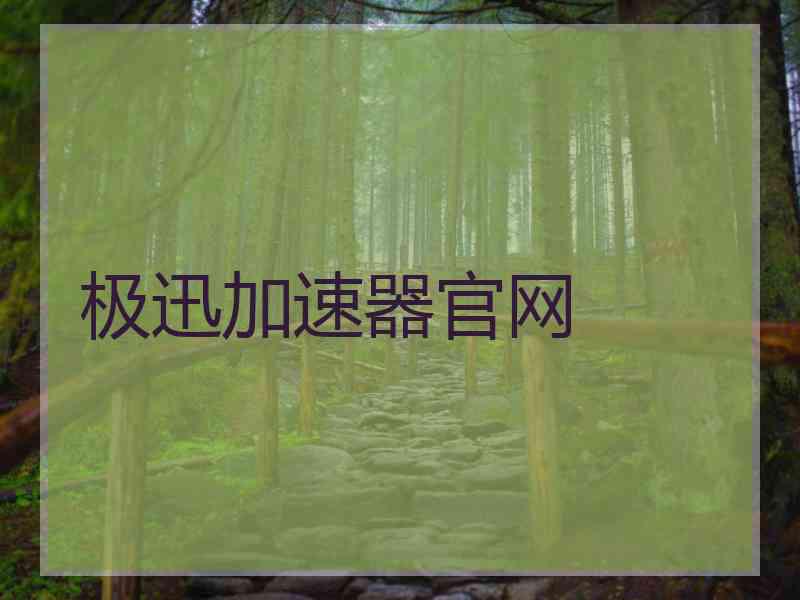 极迅加速器官网