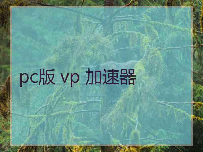 pc版 vp 加速器