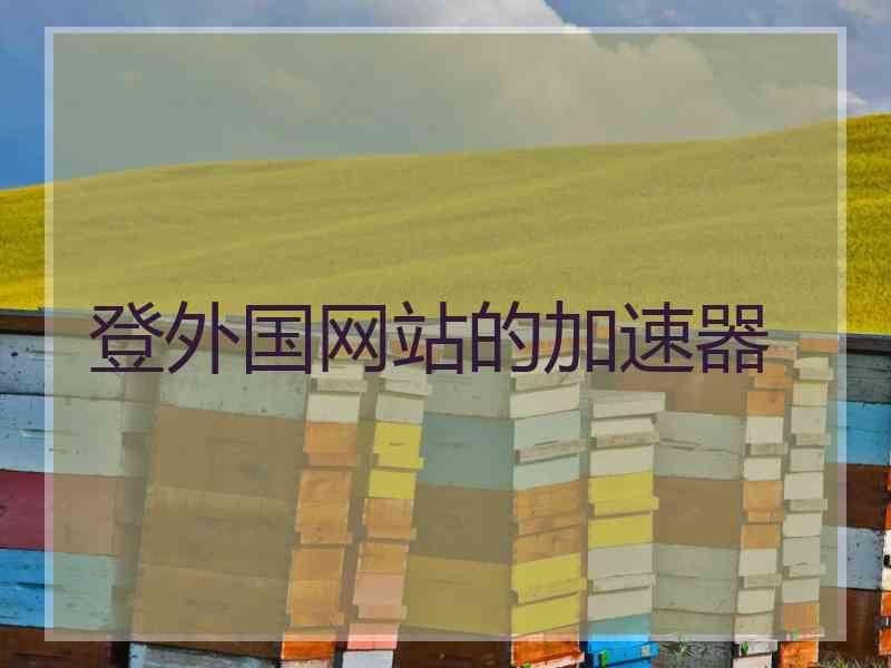 登外国网站的加速器
