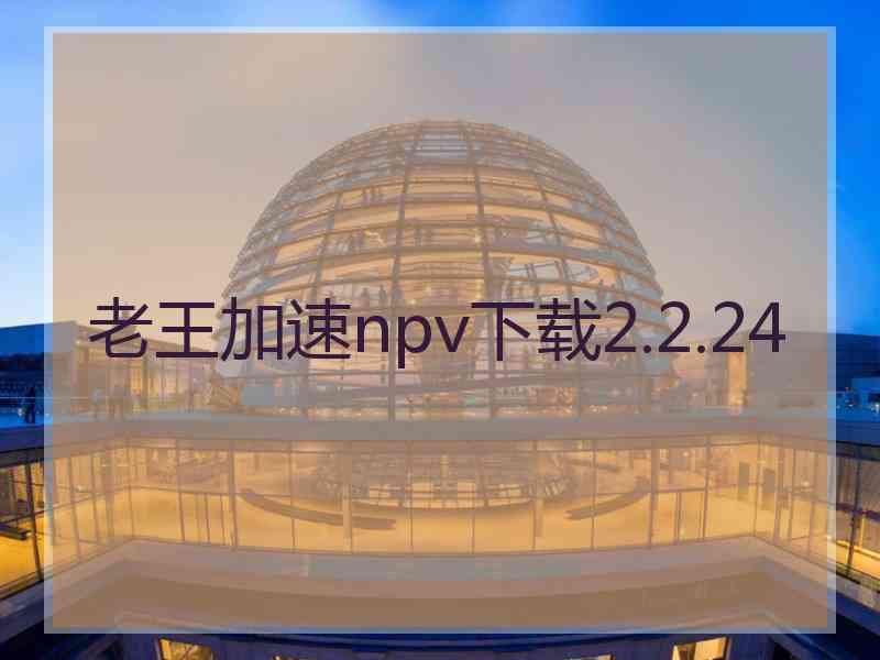 老王加速npv下载2.2.24