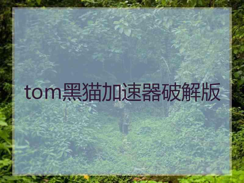 tom黑猫加速器破解版