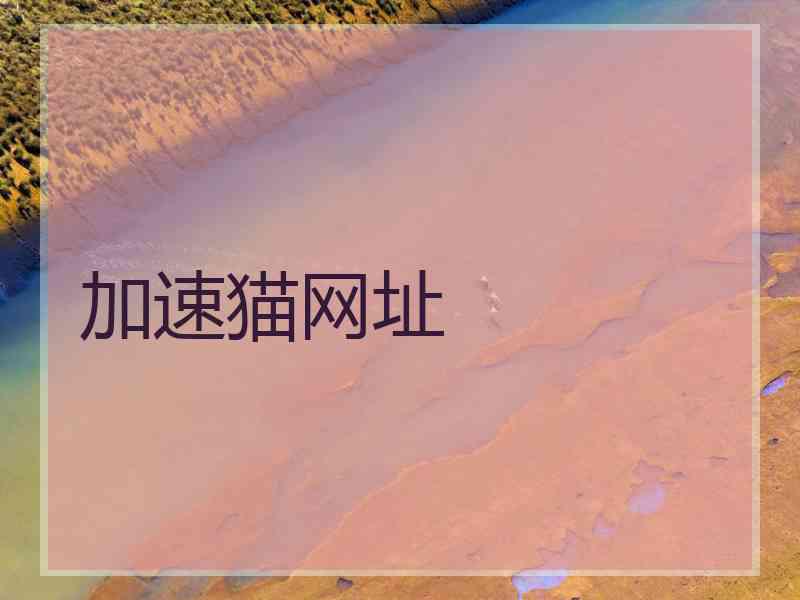 加速猫网址