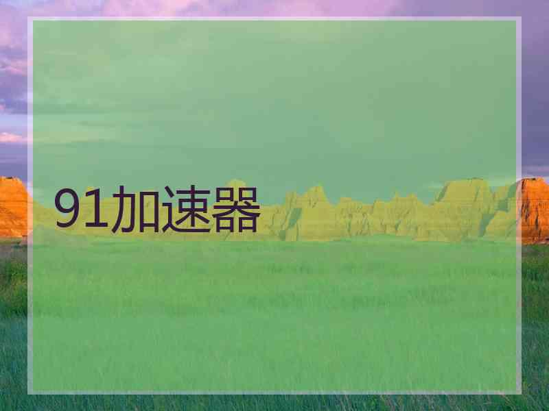91加速器