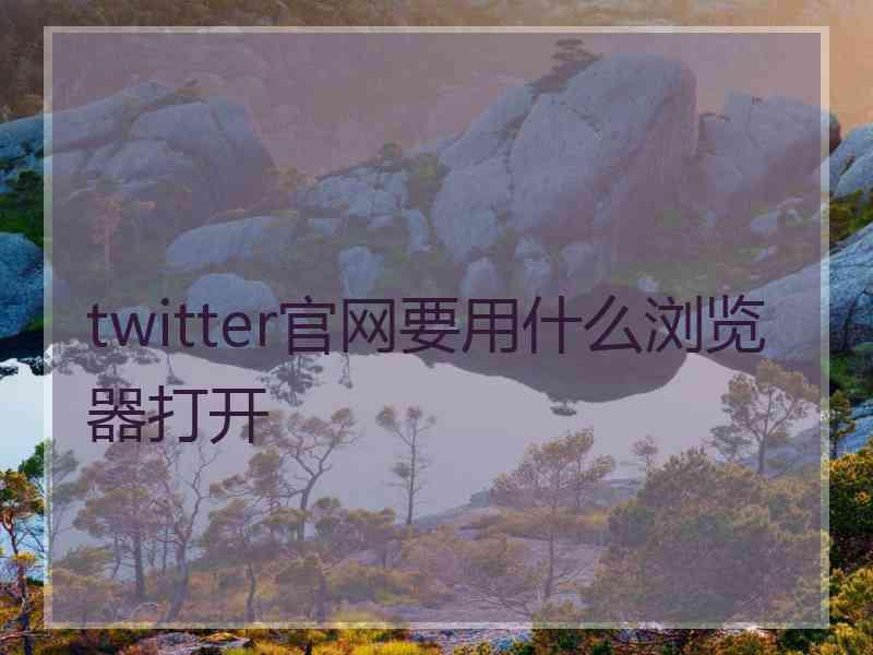 twitter官网要用什么浏览器打开