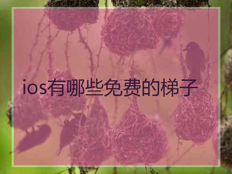ios有哪些免费的梯子