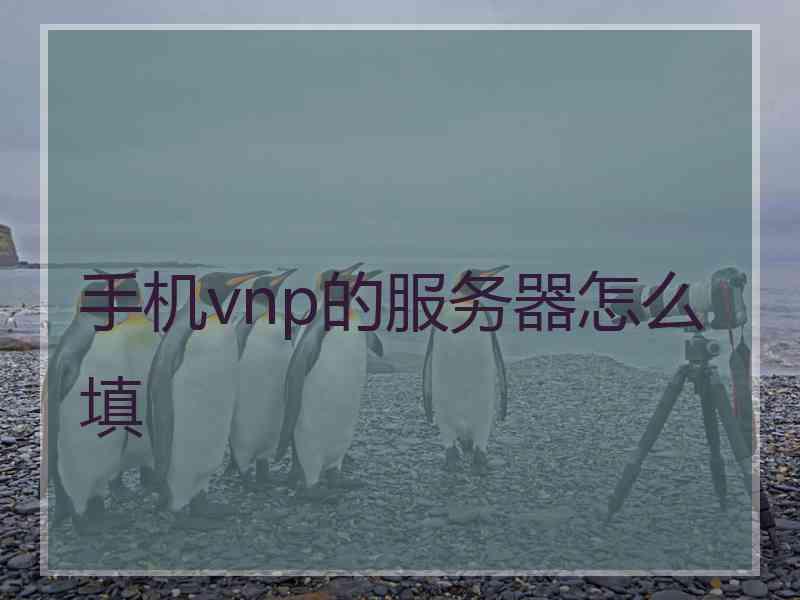 手机vnp的服务器怎么填