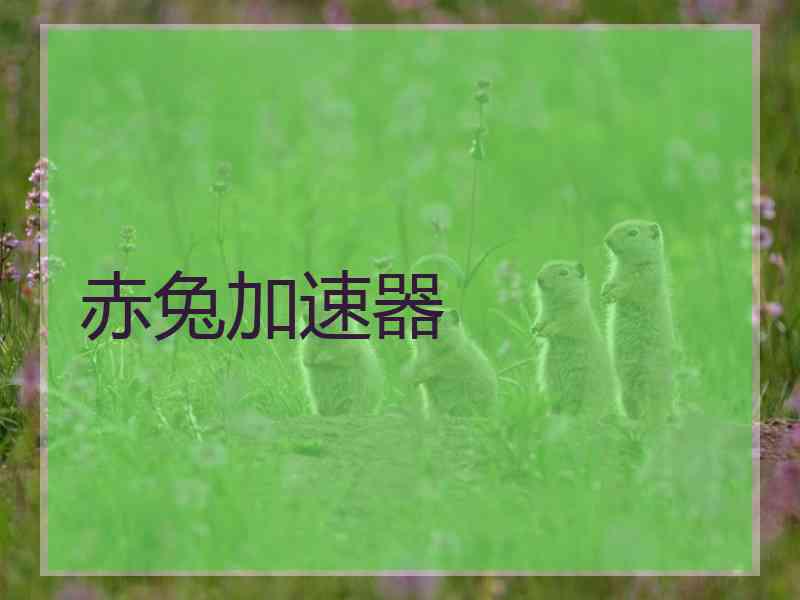 赤兔加速器