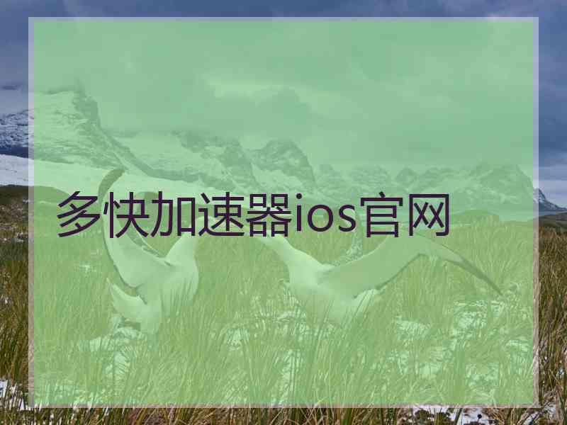 多快加速器ios官网