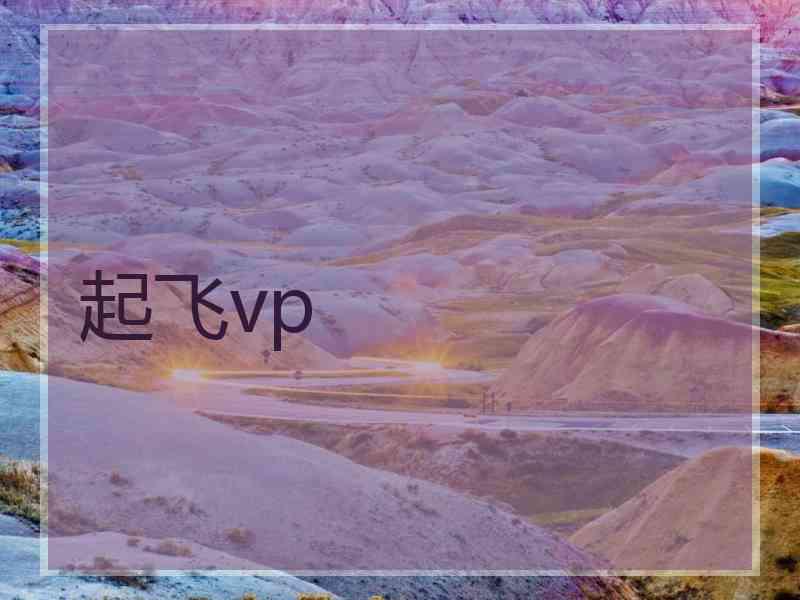 起飞vp