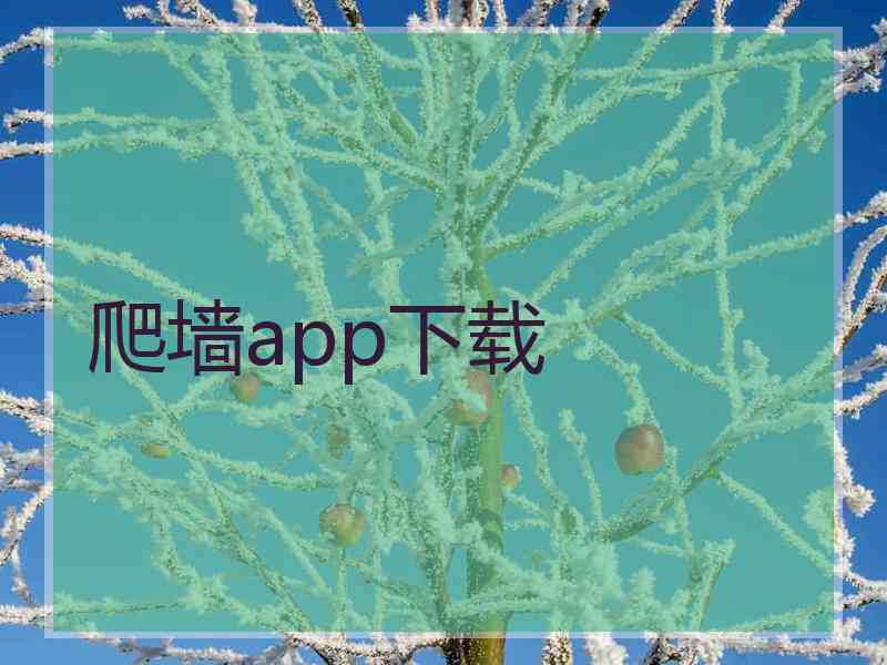 爬墙app下载