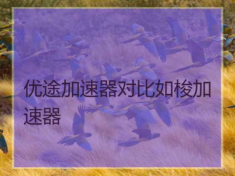 优途加速器对比如梭加速器