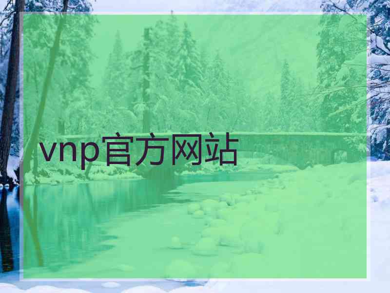 vnp官方网站