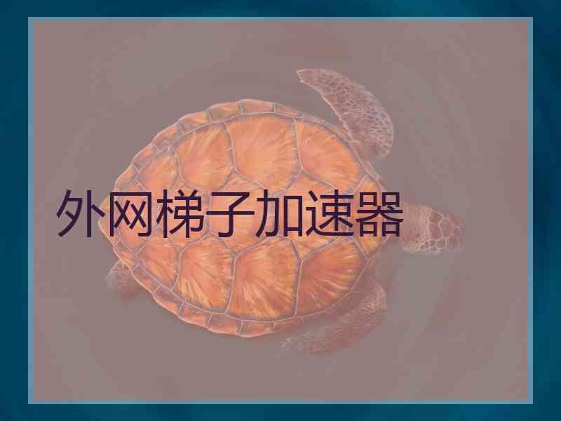 外网梯子加速器