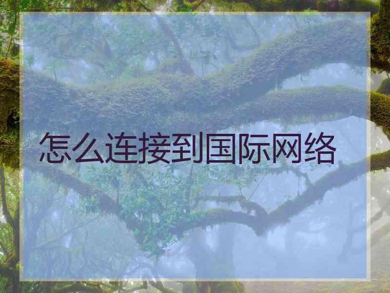 怎么连接到国际网络