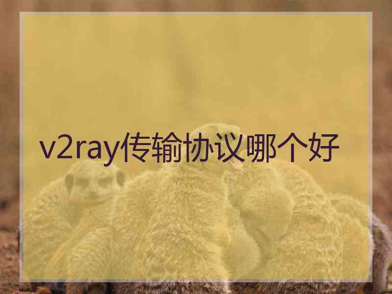 v2ray传输协议哪个好