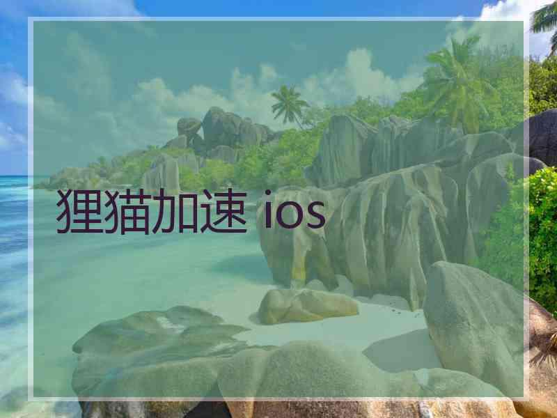 狸猫加速 ios
