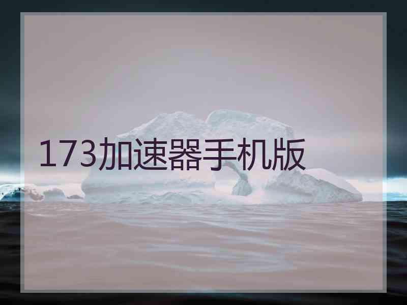 173加速器手机版