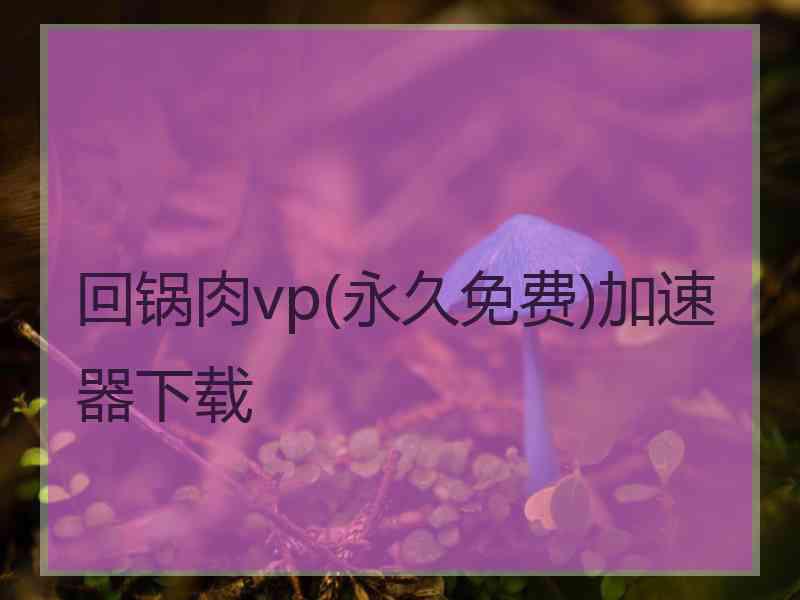 回锅肉vp(永久免费)加速器下载