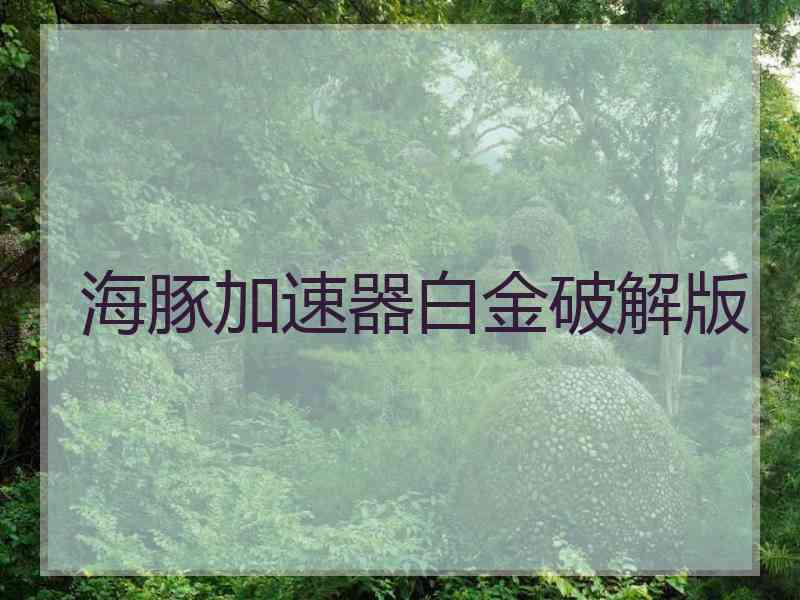 海豚加速器白金破解版
