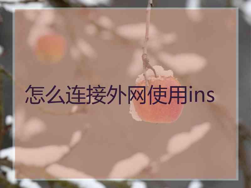 怎么连接外网使用ins