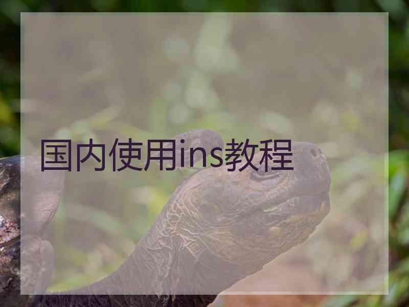 国内使用ins教程
