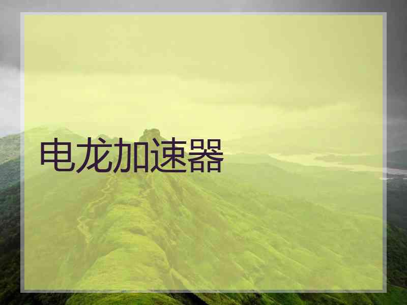 电龙加速器