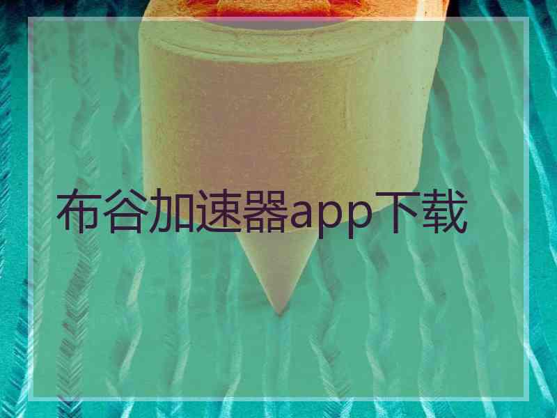 布谷加速器app下载