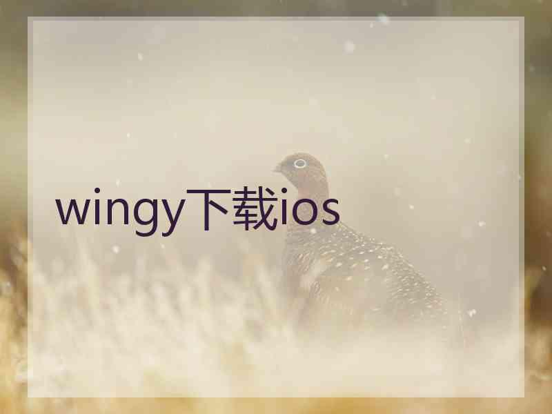 wingy下载ios