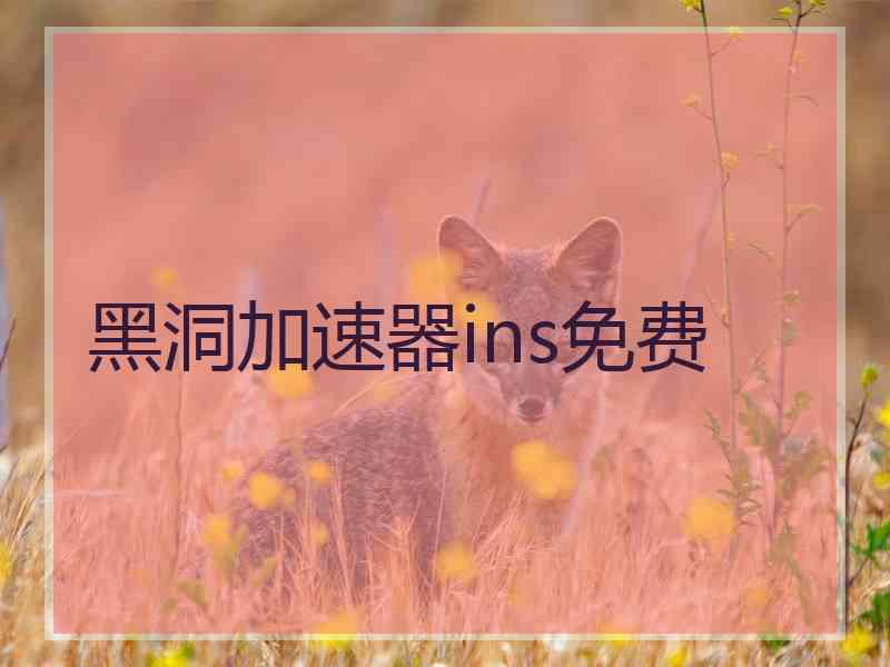 黑洞加速器ins免费