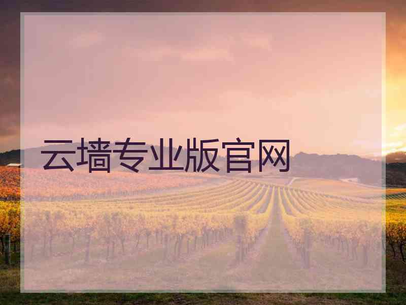 云墙专业版官网