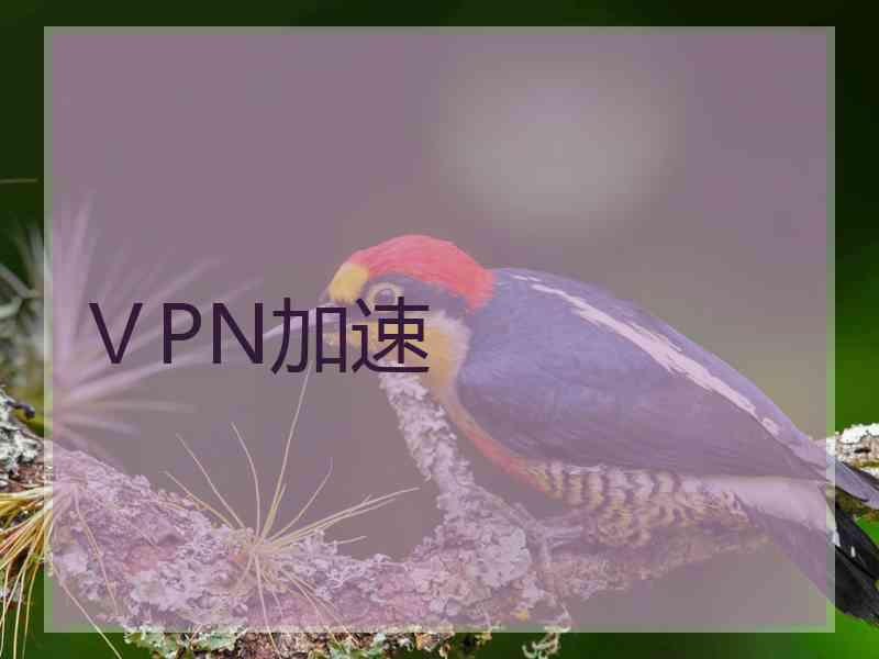 ⅤPN加速